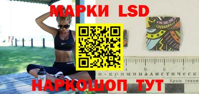 прущие грибы Баксан