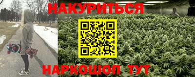 прущие грибы Баксан