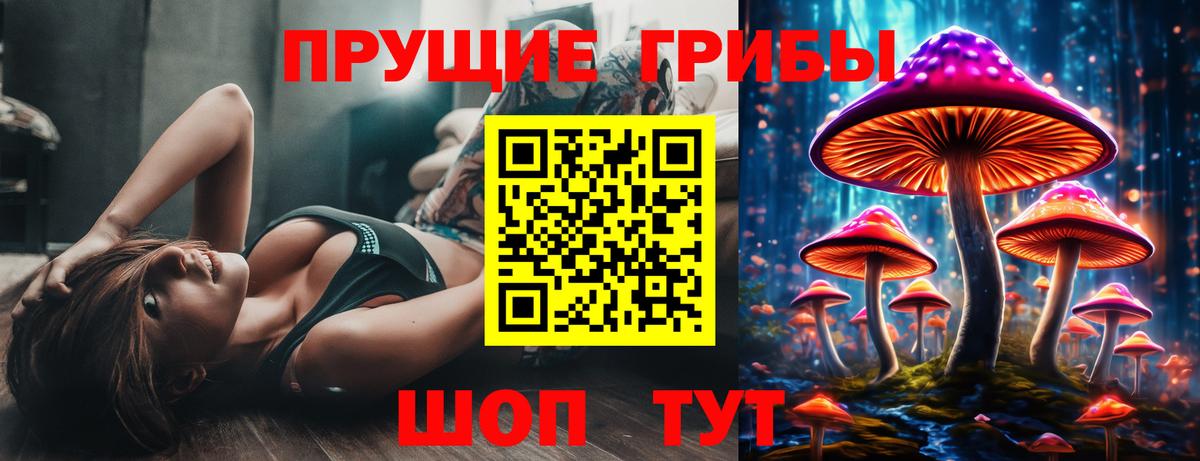 Гатчина  Галлюциногенные грибы Magic Shrooms  хочу наркоту  Вход с VPN 